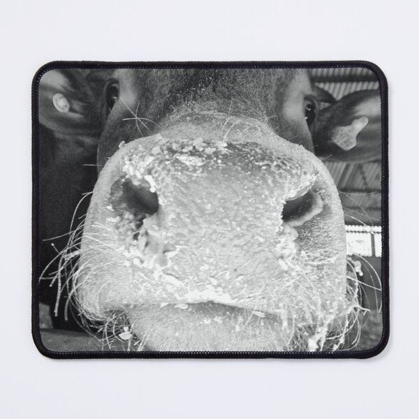 Item preview, Bull designed and sold by Glenbobagins.