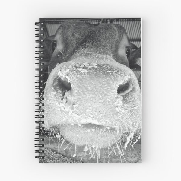 Item preview, Bull designed and sold by Glenbobagins.