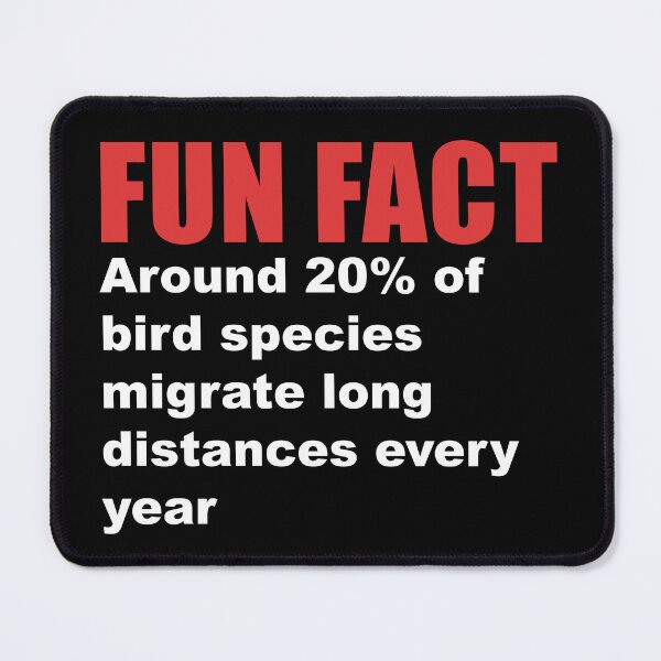 Item preview, fun fact migrating birds designed and sold by Dagrell.