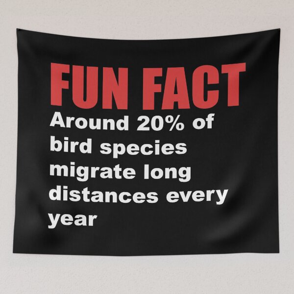 Item preview, fun fact migrating birds designed and sold by Dagrell.