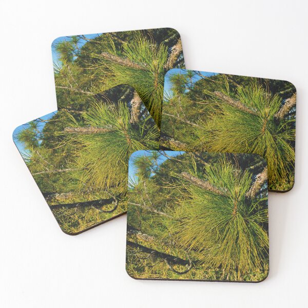 Item preview, Pines and Needles  designed and sold by WildAppleStudio.