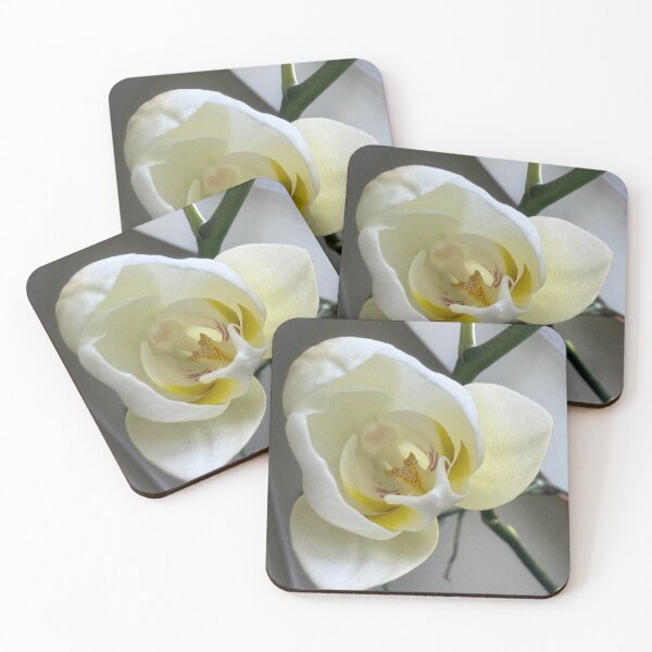 Item preview, Orchids flower white  designed and sold by Narcy1119.