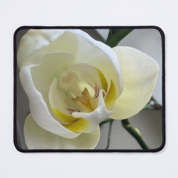 Item preview, Orchids flower white designed and sold by Narcy1119.