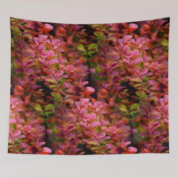 Item preview, Pink Rocket Barberry designed and sold by MJDiesl.