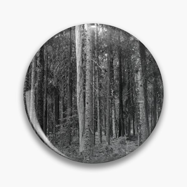 Item preview, Equisetum forest 1. Seitseminen 2024 bw designed and sold by Jouko Lehto Photography.