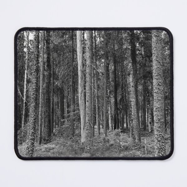 Item preview, Equisetum forest 1. Seitseminen 2024 bw designed and sold by Jouko Lehto Photography.
