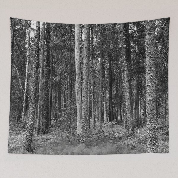 Item preview, Equisetum forest 1. Seitseminen 2024 bw designed and sold by Jouko Lehto Photography.