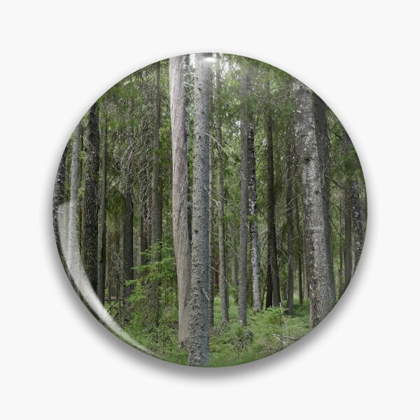 Item preview, Equisetum forest 1. Seitseminen 2024 designed and sold by Jouko Lehto Photography.