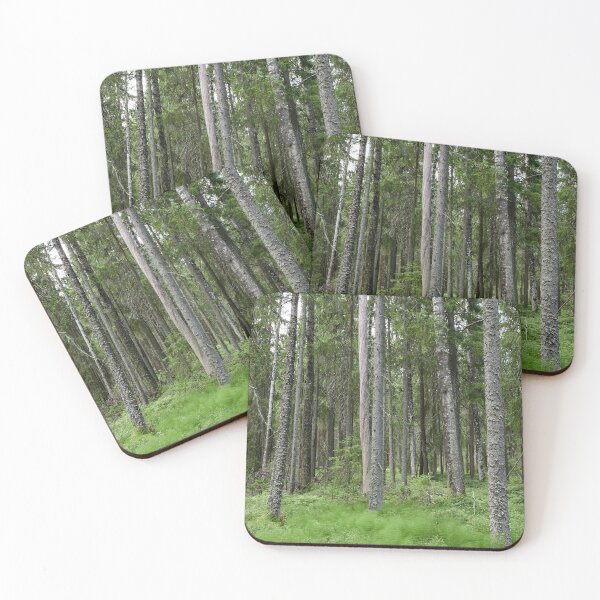 Item preview, Equisetum forest 1. Seitseminen 2024 designed and sold by Jouko Lehto Photography.