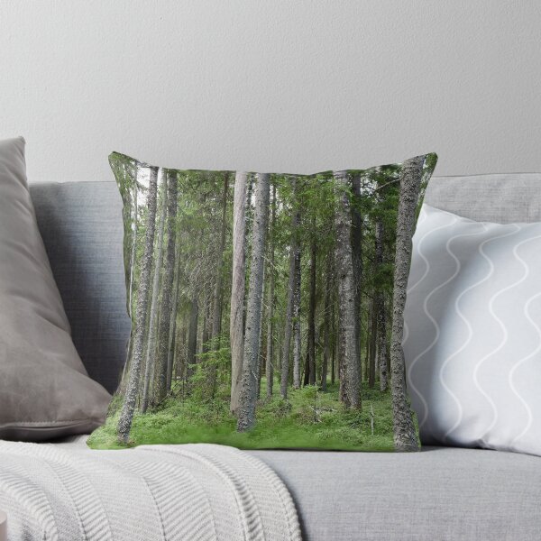 Item preview, Equisetum forest 1. Seitseminen 2024 designed and sold by Jouko Lehto Photography.