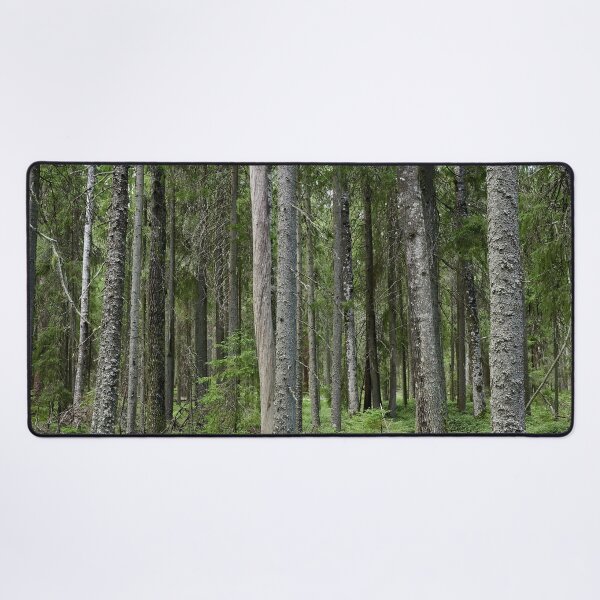 Item preview, Equisetum forest 1. Seitseminen 2024 designed and sold by Jouko Lehto Photography.