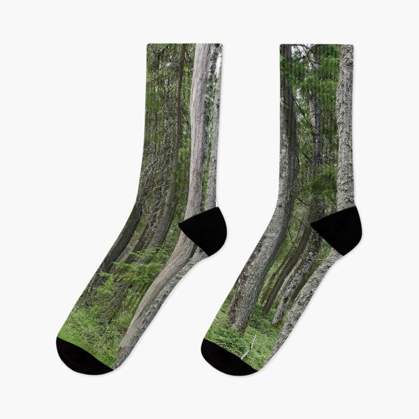 Item preview, Equisetum forest 1. Seitseminen 2024 designed and sold by Jouko Lehto Photography.