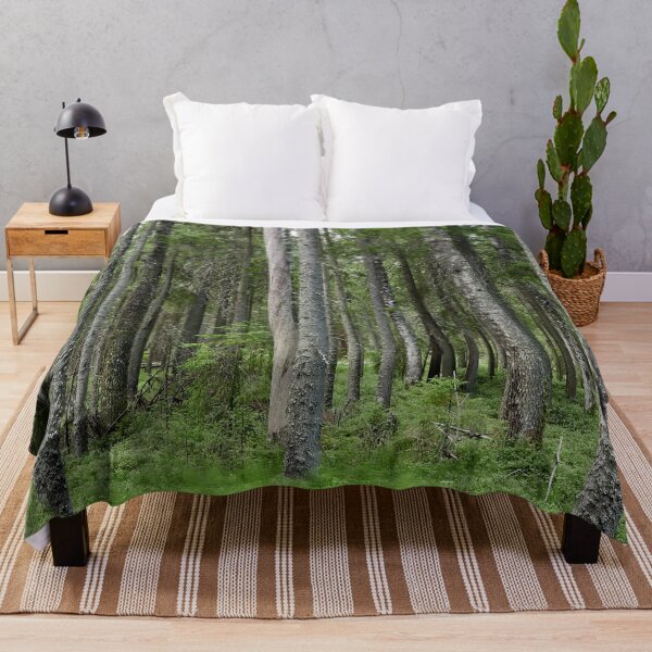Item preview, Equisetum forest 1. Seitseminen 2024 designed and sold by Jouko Lehto Photography.