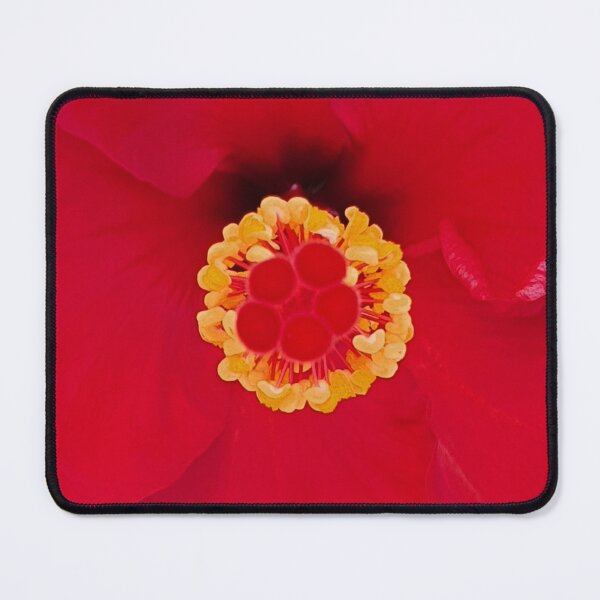 Item preview, red hibisco designed and sold by Tereza Pilar  Art.