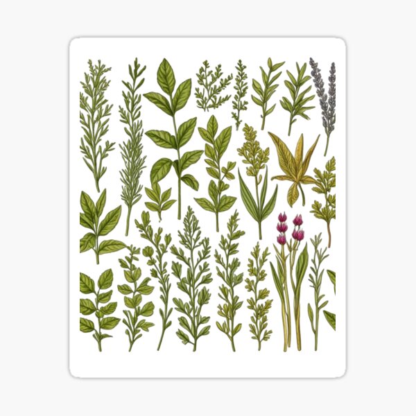 Item preview, Herbs designed and sold by RTBproducts.
