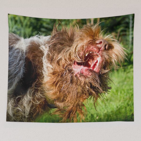 Item preview, Italian Spinone Play Fight by heidiannemorris designed and sold by FOLK ART FUSION by heidiannemorris.