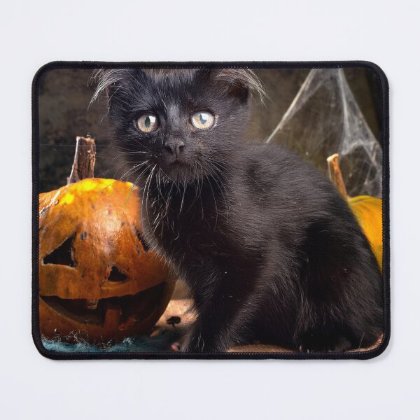 Item preview, Spooky Kitten Pumpkin designed and sold by CharlieMakes.