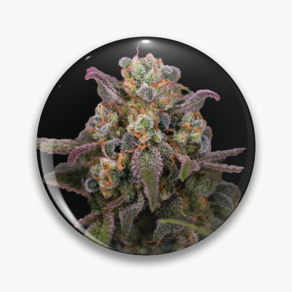 Item preview, Weed Nug Pot Plant designed and sold by wildeweed.