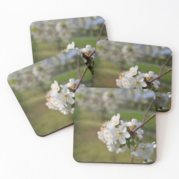 Item preview, Blooming Cherry Orchard designed and sold by TeresaYoung9.