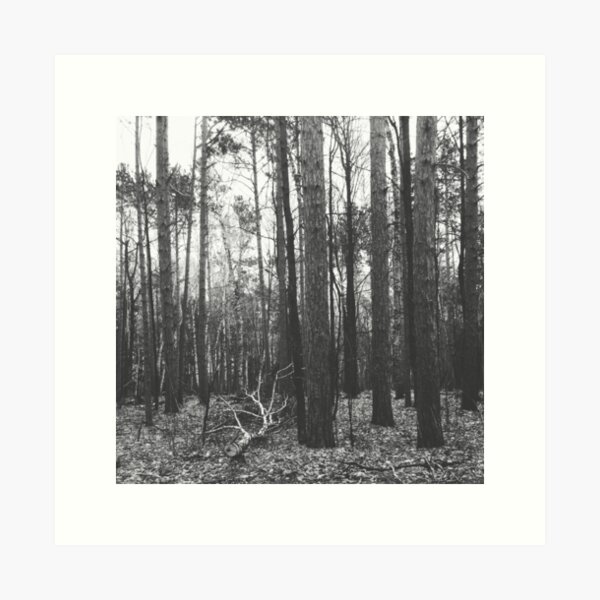 Potawatomi State Park Art Print