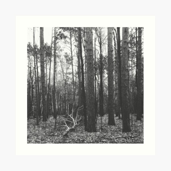 Potawatomi State Park Art Print