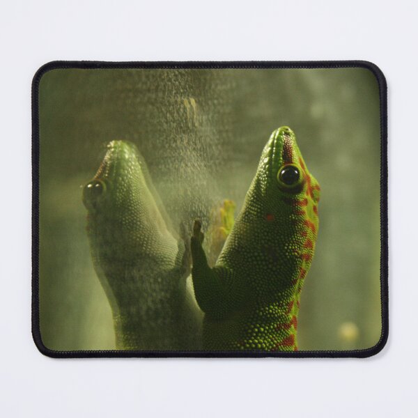 Item preview, Gecko designed and sold by GattaQuatta's Weird Store!.