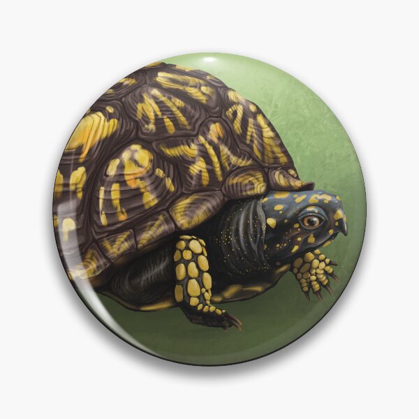 Item preview, Eastern Box Turtle Illustration designed and sold by Nick Garnhart.