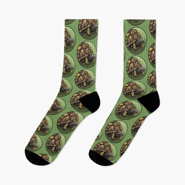 Item preview, Eastern Box Turtle Illustration designed and sold by Nick Garnhart.