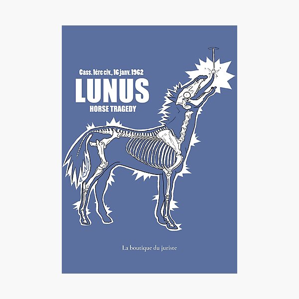 LUNUS , horse tragedy Impression photo