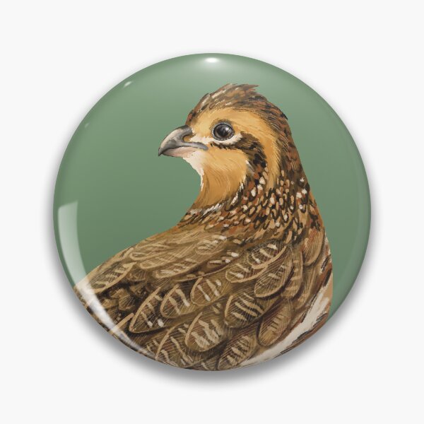 Item preview, Female Northern Bobwhite Quail Illustration designed and sold by Nick Garnhart.
