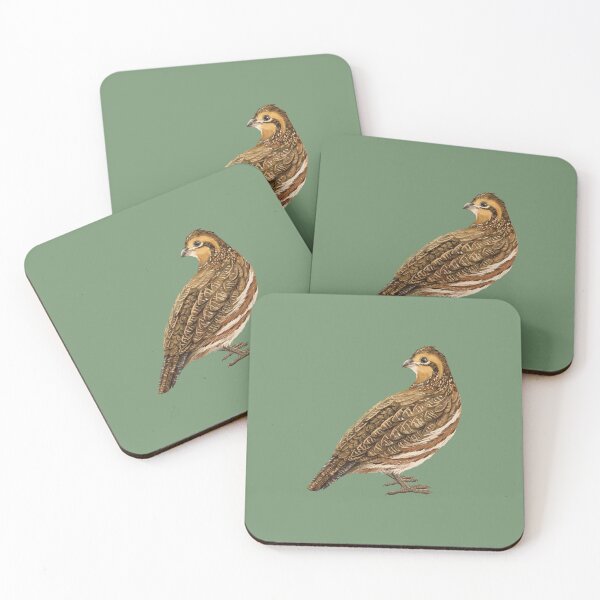Item preview, Female Northern Bobwhite Quail Illustration designed and sold by Nick Garnhart.