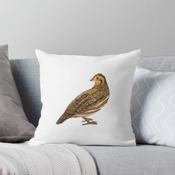 Item preview, Female Northern Bobwhite Quail Illustration designed and sold by Nick Garnhart.