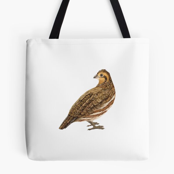 Item preview, Female Northern Bobwhite Quail Illustration designed and sold by Nick Garnhart.
