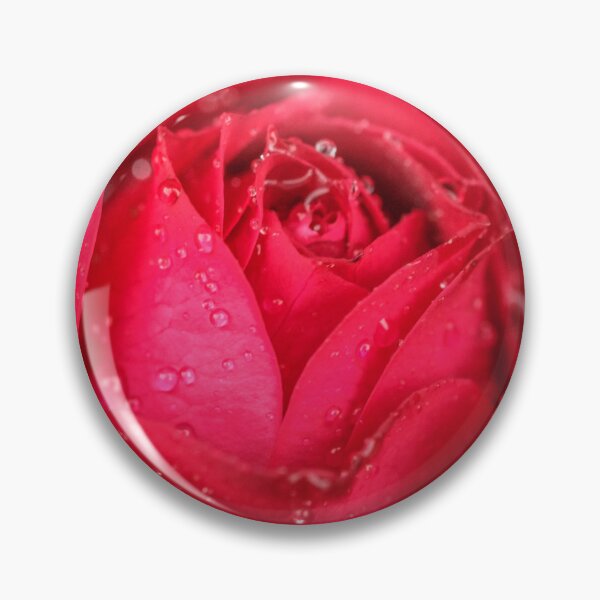 Item preview, Red rose under the rain designed and sold by claudiacontena.