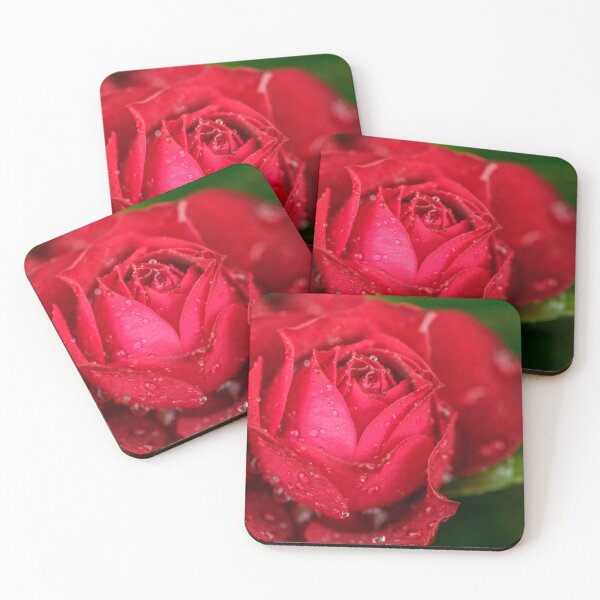 Item preview, Red rose under the rain designed and sold by claudiacontena.