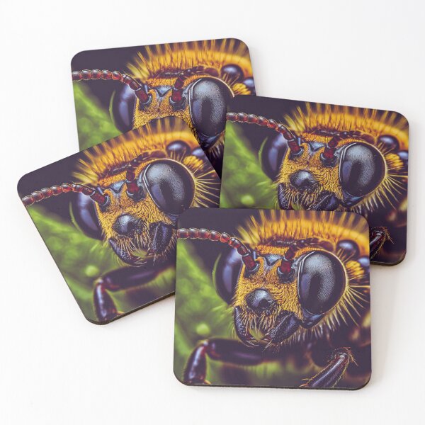 Item preview, Macro designed and sold by Jean-François Dupuis.