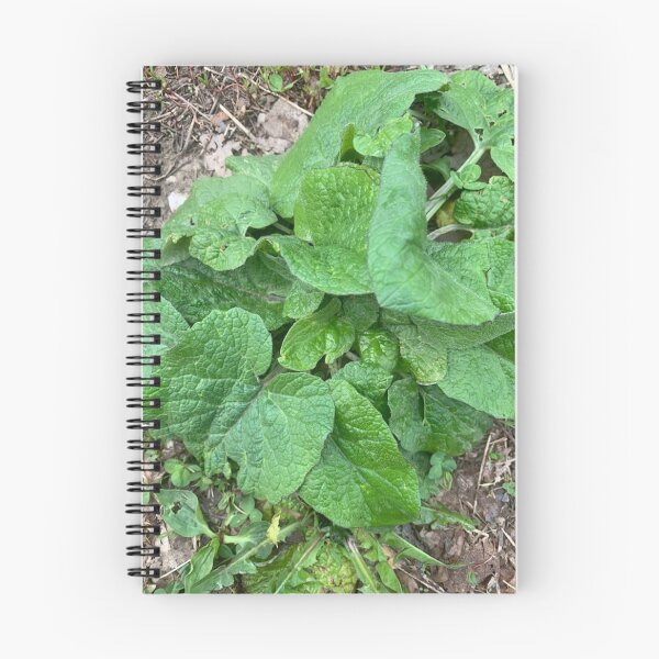Item preview, burdock style. designed and sold by Valgasnews011.