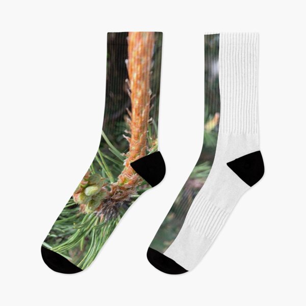 Item preview, Pine style. designed and sold by Valgasnews011.