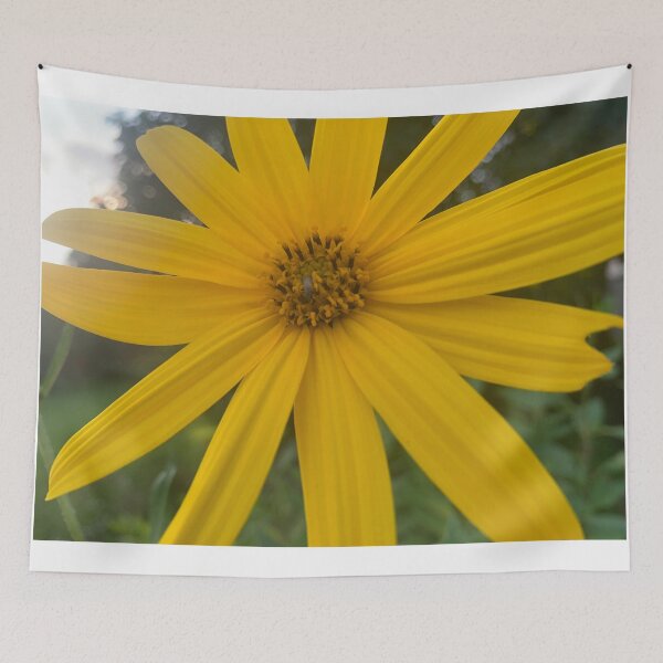 Item preview, Jerusalem Artichoke  style. designed and sold by Valgasnews011.