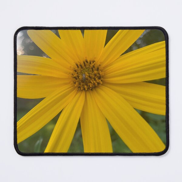 Item preview, Jerusalem Artichoke style. designed and sold by Valgasnews011.