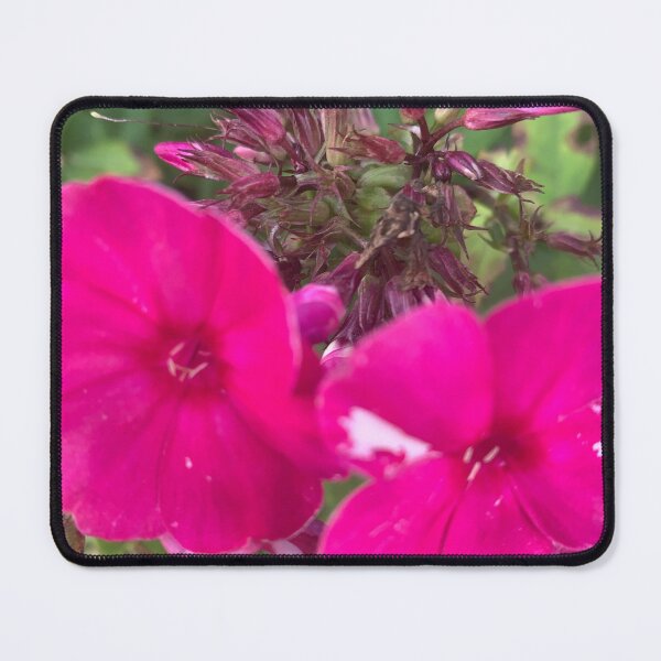 Item preview, Dark pink flox style. designed and sold by Valgasnews011.