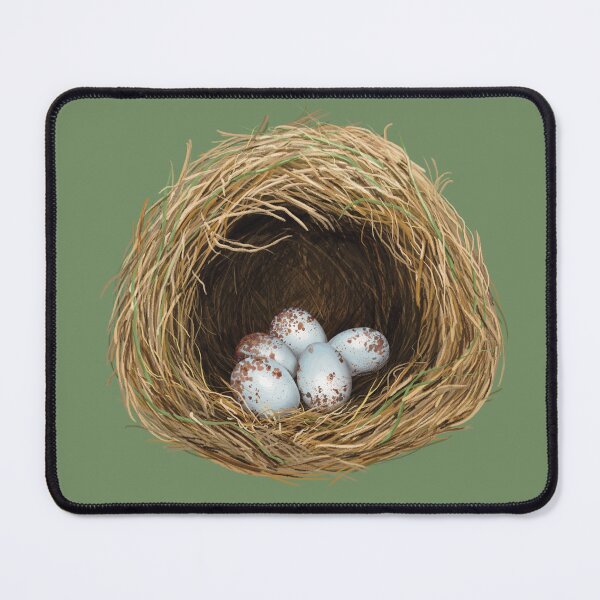 Item preview, Eastern Meadowlark Nest with Five Eggs designed and sold by Nick Garnhart.