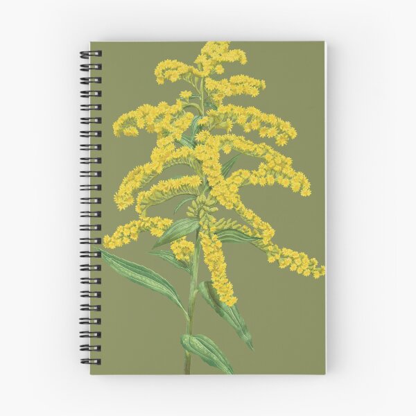 Item preview, Solidago Altissima Tall Goldenrod Flower designed and sold by Nick Garnhart.
