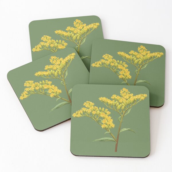 Item preview, Solidago juncea Early Goldenrod Flower designed and sold by Nick Garnhart.
