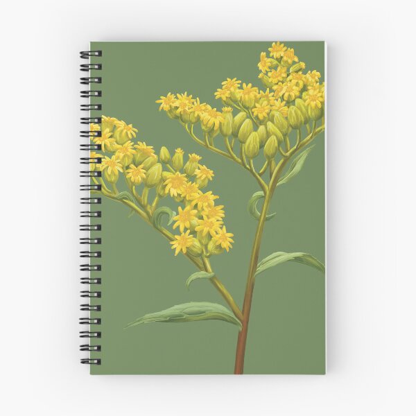 Item preview, Solidago juncea Early Goldenrod Flower designed and sold by Nick Garnhart.