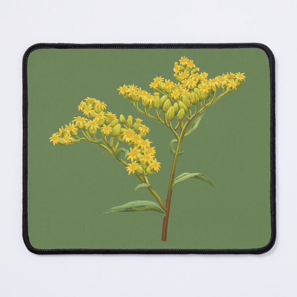 Item preview, Solidago juncea Early Goldenrod Flower designed and sold by Nick Garnhart.