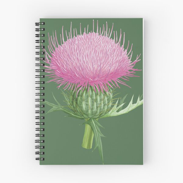 Item preview, Circium Dicolor Field Thistle Flower designed and sold by Nick Garnhart.