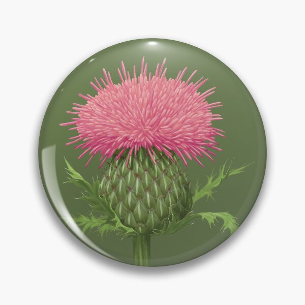 Item preview, Cirsium pumilum Pasture Thistle Flower designed and sold by Nick Garnhart.