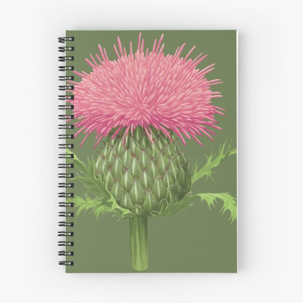 Item preview, Cirsium pumilum Pasture Thistle Flower designed and sold by Nick Garnhart.