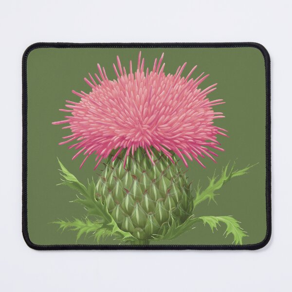 Item preview, Cirsium pumilum Pasture Thistle Flower designed and sold by Nick Garnhart.